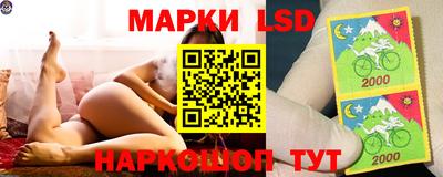 apvp Партизанск